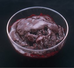 画像1: 【ボワロン】冷凍ミルティーユピューレ(無糖) 1kg 