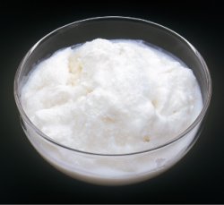 画像1: 【ボワロン】冷凍ココナッツピューレ(12%加糖) 1kg